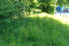 Grillhuette_vorher_005